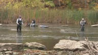 Eighteen Mile Creek draws anglers