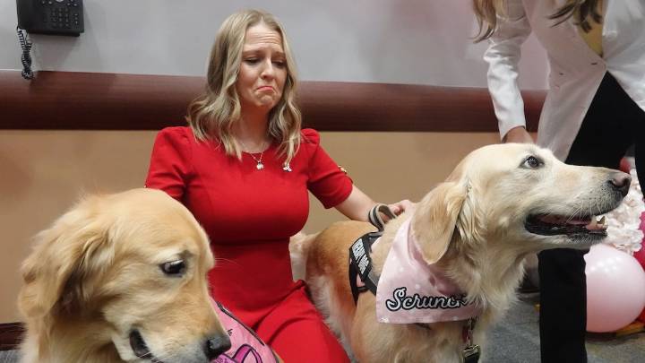 Therapy dog awakens woman from coma at Florida hospital