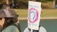 Dozens gather at 'No Kings Day Pre-Rally' at Lincoln Memorial