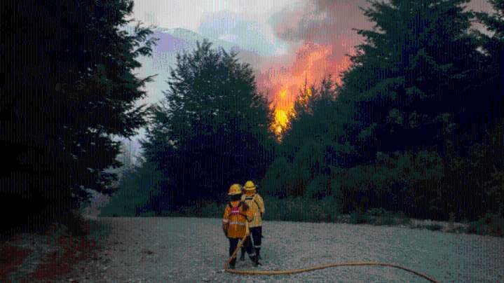 Ocho meses después, sobreseyeron a jóvenes que habían sido imputados por causar un incendio cerca de El Bolsón