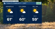 Feeling fall-like with some sunshine