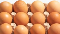 Do not eat, sell or serve: Eggs sold in multiple states recalled for salmonella potential
