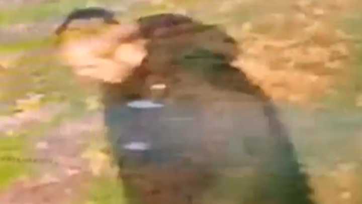 Indian-origin woman raped in ‘racially aggravated’ attack in U.K., man arrested