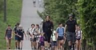 Una jornada, muchos caminos