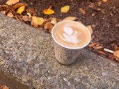 We ranked 7 local pumpkin spice lattes from Syracuse coffee shops