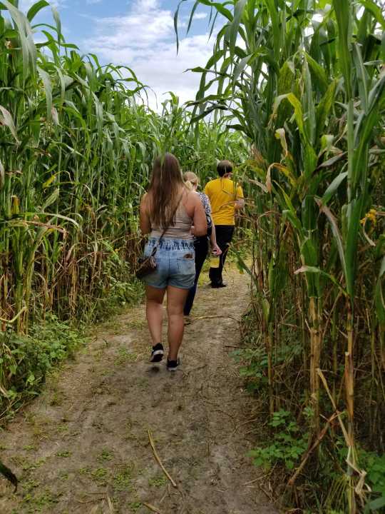 Tampa Bay on a Budget: Fun ideas for things to do for $20 or less in October