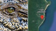 14yo boy in hospital after croc attack in Far North Queensland