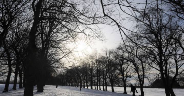 Eight counties in England set for snow with 2cm arriving every hour
