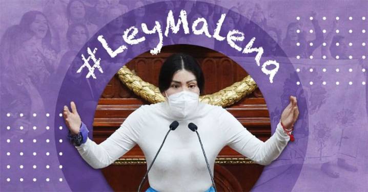 Presentan en Congreso local la iniciativa de “Ley Malena”