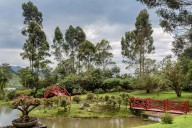 Innovación y sostenibilidad impulsan el turismo en Colombia.