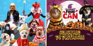 Concursos de disfraces por Halloween para mascotas y personas en estos 15 distritos de Lima y Callao todo el fin de semana