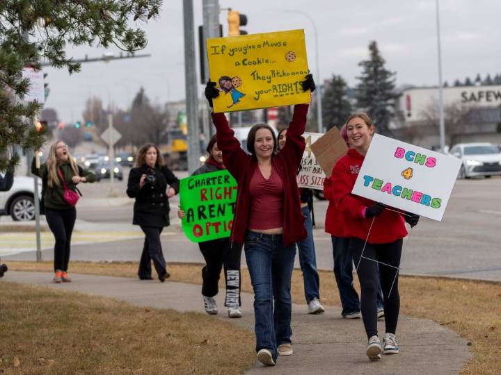 Teachers' strike always belonged in the political realm. Sec. 33 is justified
