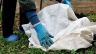 Cover These 14 Veggies In October Before Cold Weather Destroys Your Harvest