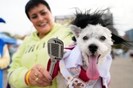 Dozens of costumed canines get their chance to trick-or-treating at Howloween event in Michigan – Winnipeg Free Press