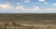 Cheyenne moves to loosen 6-inch weed rule, allow native grasses to grow taller
