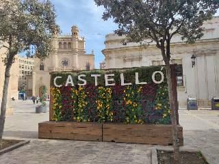 Empadronamiento en Castellón: documentos, plazos y pasos