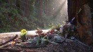 Teen driver involved in car crash charged