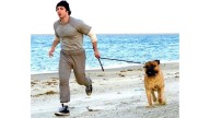 ¿Quién es Anthony Ippolito, el nuevo Rocky Balboa? Esto es lo que sabemos