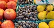 PB&J May Be Solution to Grape Grower Challenges [Opinion]