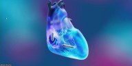 Karen Pekowitz explains receiving tiniest pacemaker ever made