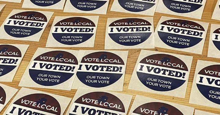 Fairbanks municipal elections hit about average