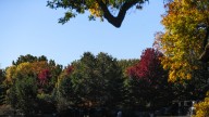 When and where to enjoy Green Bay area's fall colors in 2025