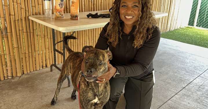 Happy Howl-O-Ween from this week's WPTV 'Underdogs'!