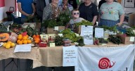 Singleton shines with multiple NSW Tidy Towns wins