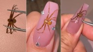 Manicurista coloca arañas reales encapsuladas en las uñas y se hace viral