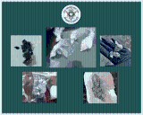 Parish in Louisiana issues public safety alert due to emergence of 'Green Fentanyl'