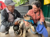 “Un milagro en la jornada de adopción: familia se reencuentra con su perro perdido después de años”