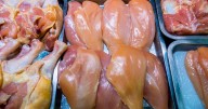 Nearly 1 in 5 urinary tract infections linked to contaminated meat, study finds