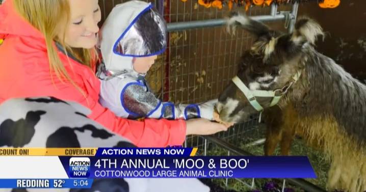 Festive fun at Cottonwood's Moo and Boo despite weather