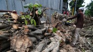 Supreme Court To Hear BMC Plea For Cutting More Trees For Goregaon–Mulund Link Road Project On October 27