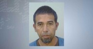 ICE arrests suspect in Madison attack where woman 'played dead' and 6 others
