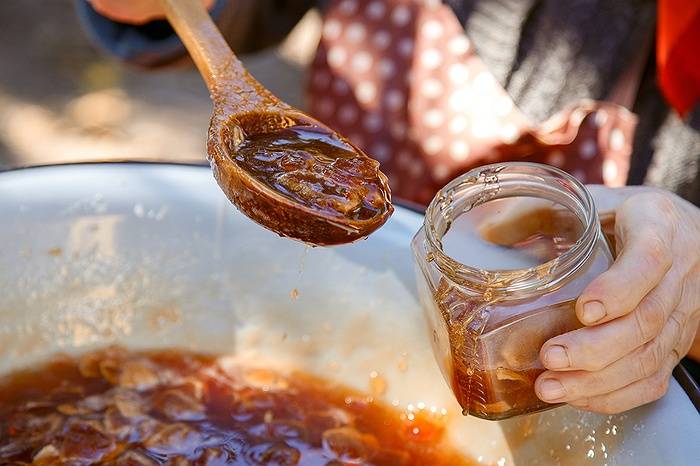 Learn the Art of Jam Making at Hallockville Museum Farm on November 1