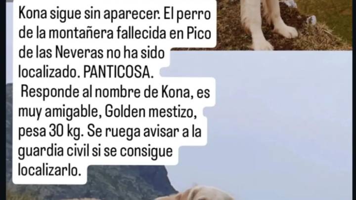 Buscan a uno de los perros de la montañera navarra fallecida el domingo en Panticosa