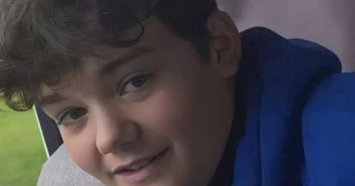 Boy took his own life after being falsely accused of stealing dead baby ashes