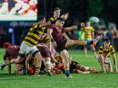Top 12 de la URBA: Newman dejó en el camino a Belgrano, hizo historia y espera en la final por el ganador de CASI vs SIC