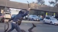‘Lawless state’: David Southwick pushes for youth crime reckoning amid spate of machete attacks, break