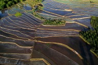 Why Are Agriculture Technocrats in Jammu Kashmir Being Left Behind?
