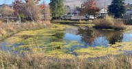 City of Missoula looks to address stormwater runoff, protect aquifer