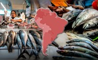 El país de América Latina con mayor producción de pescado del mundo junto a China e Indonesia: supera a EE.UU. en top 5