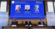 The Nobel Prize for physics is awarded for discoveries in quantum mechanical tunneling