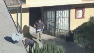 Hallan niño de 7 años muerto en apartamento de Lynwood; arrestan a padres y abuela
