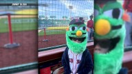 Young Sox fan showing support with handmade headgear