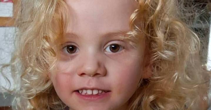 Missing boy Gus Lamont update: Renewed search for missing South Australian boy cut short due to heat