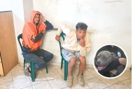 Del maltrato animal al narcotráfico: Detienen a cabecilla de “Los Cangris del Callao”