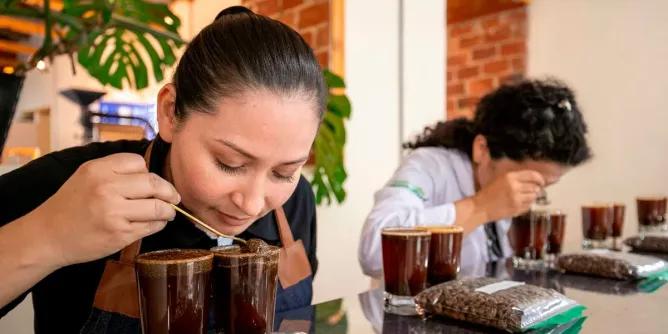 Nariño busca el mejor café del año en octubre