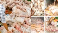 J&K Govt Bans Sale of Unsafe Frozen and Chilled Meat Products